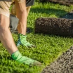 Natural New Grass Installation in Brampton